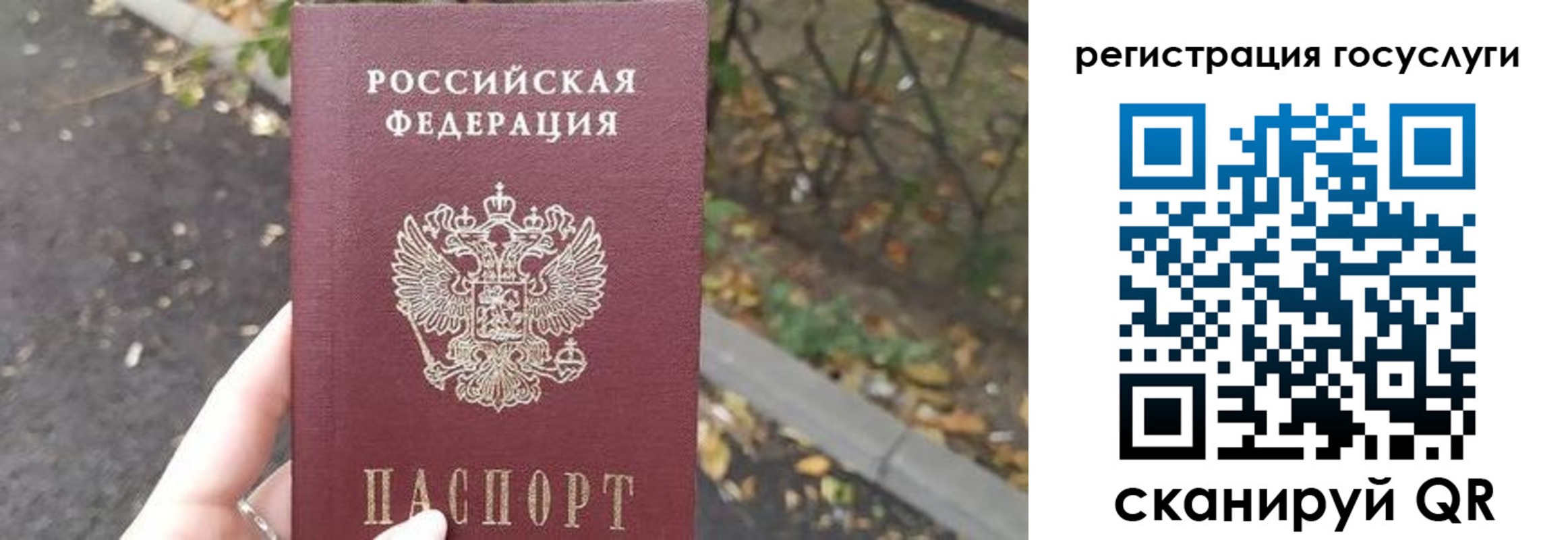 купить прописку в Красном Куте